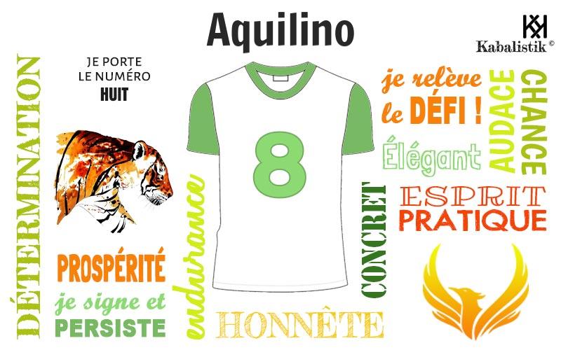 La signification numérologique du prénom Aquilino