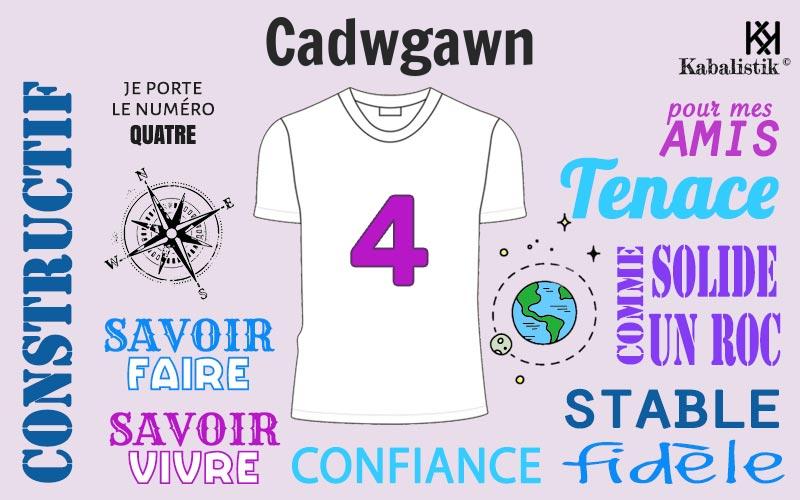 La signification numérologique du prénom Cadwgawn